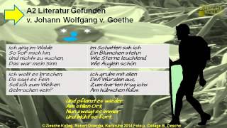 A2 Leseverstehen Deutsche Literatur Goethe Gefunden [upl. by Niggem]