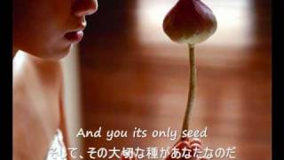 The Rose  Bette Midler 歌詞字幕）English amp Japanese Lyrics [upl. by Idolem]