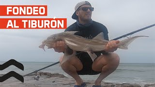 Pesca con Fondeo Cazón tiburón escalandrum gatopardo gatuzo pesca surfcasting variada salt [upl. by Elatan]