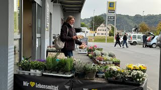 Op de fiets naar Piesport vanaf de CP in Wintrich [upl. by Maressa]