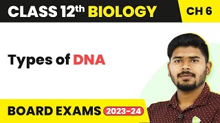 Class 12 Biology Chapter 6  Types of DNA  Molecular Basis of Inheritance 202223 [upl. by Sellig]