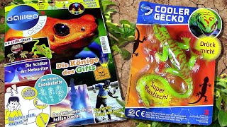 Galileo Genial 923 mit Gummi Gecko  Taggecko  Fakten zu Geckos  Giftige Tiere  GruselWitze [upl. by Doughty]