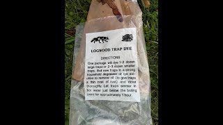 how i use logwood dye for traps [upl. by Watkin406]