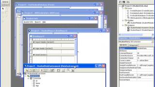 Create a basic Report using VB 60 and Data Report VB Programming Video Tutorials [upl. by Eibbor]