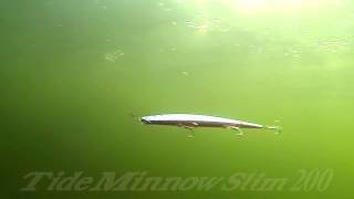 DUOs Lures in Motion 14 Tide Minnow Slim 200 [upl. by Roumell]