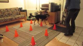 Stir Crazy Games for Small Spaces and Indoors trailer Cone Games and Ball games [upl. by Fabozzi]