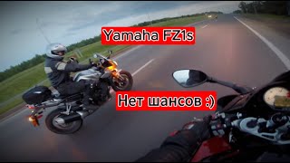 BMW S1000RR vs Yamaha FZ1S [upl. by Solenne436]