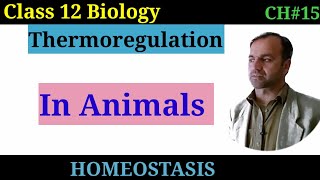 Thermoregulation In Mammals Fully Explained  Class 12 Biology [upl. by Antone]