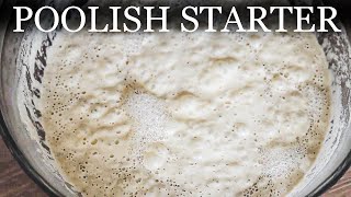 How To Make Poolish Starter For Authentic Neapolitan Pizza Dough  Poolish Method Fast amp Easy [upl. by Huda]