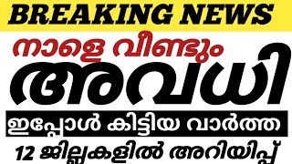 നാളെ വീണ്ടും അവധി🔥പുതിയ പ്രഖ്യാപനംഇപ്പോൾ വന്ന വാർത്ത kerala school news latest update [upl. by Nitsa]