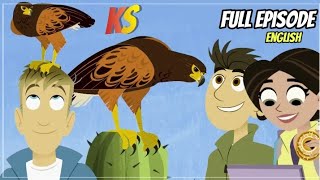 wild kratts  wolf hawk  Full episode  HD  kratts series  english [upl. by Forrester527]