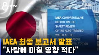 IAEA quot후쿠시마 오염수 방류 계획 국제안전기준에 부합quot  SBS 8뉴스 [upl. by Bang]