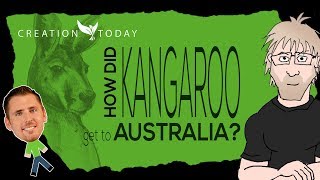 How did kangaroos get to Australia  Creation Today Claims [upl. by Aelanna418]