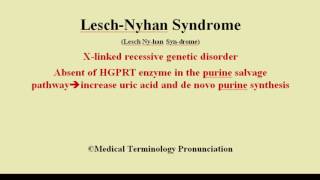 LeschNyhan Syndrome Pronunciation and definition  How to pronounce Lesch Nyhan Syndrome [upl. by Swenson66]