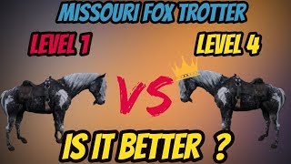 RDR 2 Missouri Fox Trotter LVL 1 VS LVL 4 Is It Really Better [upl. by Ettezil574]