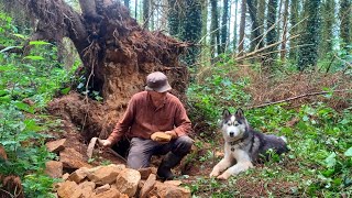 Building a Survival permanent shelter  Stonecraft bushcraft off grid living after 3 months [upl. by Neenad795]