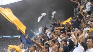 Así vivió La Afición de Pumas su victoria sobre el América [upl. by Suryc]