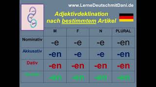 Adjektivdeklination  Deutsch lernen A1A2 [upl. by Neiluj]