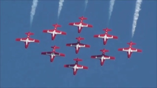 The Canadian Snowbirds [upl. by Amadis]