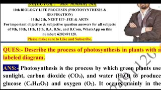 Describe the process of photosynthesis in plants with a labeled diagram [upl. by Honeywell256]