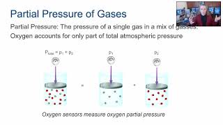 Understanding Dissolved Oxygen DO Measurements in Bioprocess [upl. by Maxwell869]