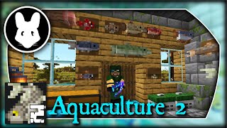 Aquaculture 2 Mod 1181 amp How To Download and Install for Minecraft [upl. by Atinrehs]