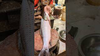 Most Creative Rohu Fish Cutting Skills By Professional Cutter😲 episode1 shorts [upl. by Hayimas34]