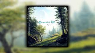 Erfmund  Sacrament of Old Full Album Atmospheric Black Metal  Instrumental [upl. by Eustis52]