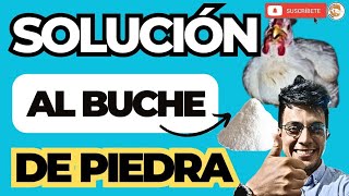 ✍🏽 Cómo CURAR y EVITAR el BUCHE de PIEDRA en los Pollos de Engorde 😱 [upl. by Vandyke]