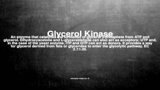 Medical vocabulary What does Glycerol Kinase mean [upl. by Nwahsel]