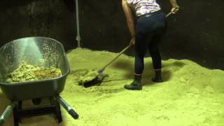 Cleaning a Horse Stable is super easy with Proteq Equine Bedding [upl. by Gavin]