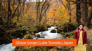 best autumn spots  Oirase Gorge amp Lake Towada North Japan [upl. by Rozina]