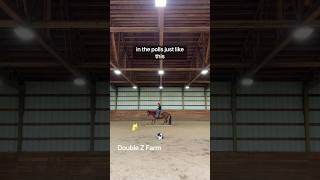 More Ground Pole Exercises horses horsebackriding horseriding [upl. by Darrelle]