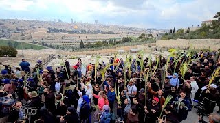 Palm Procession from Bethphage to Jerusalem [upl. by Tenaej275]