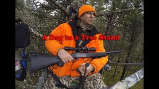 A Day Deer Hunting in a Tree Stand [upl. by Alic]