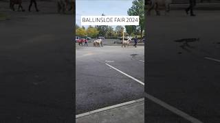 Ballinasloe Fair 2024  Ballinasloe Horse 🐎 Fair 2024 [upl. by Einwat]