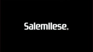 salem ilese PS5 PS2 Version Official Lyric Video [upl. by Neeham]