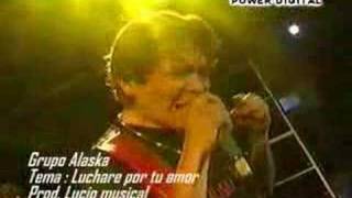 Cumbia Sureña  Grupo Alaska  Luchare por tu amor [upl. by Rather]