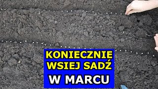 KONIECZNIE Wysiej te Warzywa w Marcu Co siać sadzić w Marcu Kalendarz Ogrodnika Warzywnika Marzec [upl. by Base359]