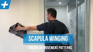 Exercises for Scapula Winging and Irregular Shoulder Movement  Pt 1  Tim Keeley  Physio REHAB [upl. by Haiasi207]