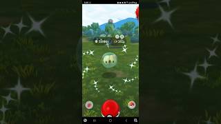 ✨️Catching and evolving my first Shiny Solosis shiny pokemon shinypokemon pokemongo wildshiny [upl. by Saideman147]