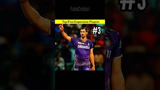 Expecting Top 5 Most Expensive Players in IPL 2025 😱  cricket iplauction2024 [upl. by Benni]