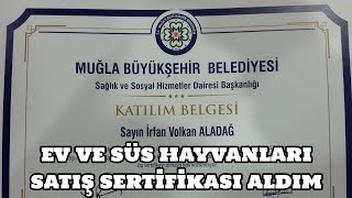 Ev ve Süs Hayvanları Satış Sertifikası Aldım [upl. by Santos401]