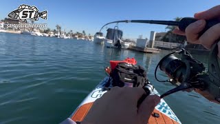 1st Time Paddle board Fishing Belmont Shore [upl. by Zetra]