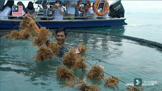 AKU3201 5 INTERESTING FACTS ABOUT AQUACULTURE IN MALAYSIA [upl. by Tedi212]