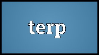 Terp Meaning [upl. by Volin]