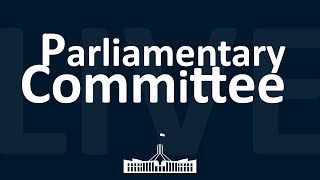 Foreign Affairs Defence and Trade Legislation Committee  02072024 [upl. by Feinberg]