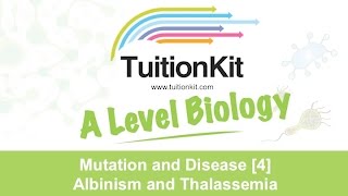 Mutation and Disease 4 Albinism and Thalassemia High band Biology  new [upl. by Banwell54]