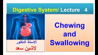 Chewing swallowing deglutition [upl. by Storm791]