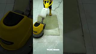 Like New Again Carpet Cleaning Magic [upl. by Baese]